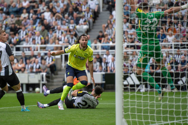 他们的球员 他们的球员