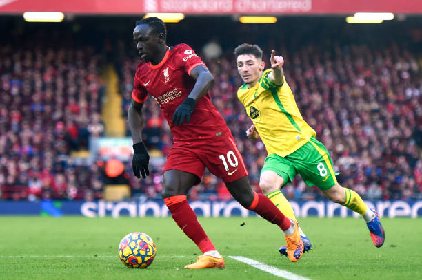 未来展望 未来展望