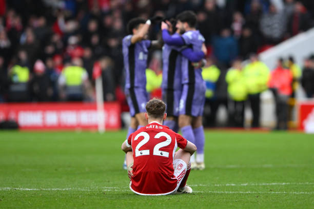 迷提供了一 迷提供了一